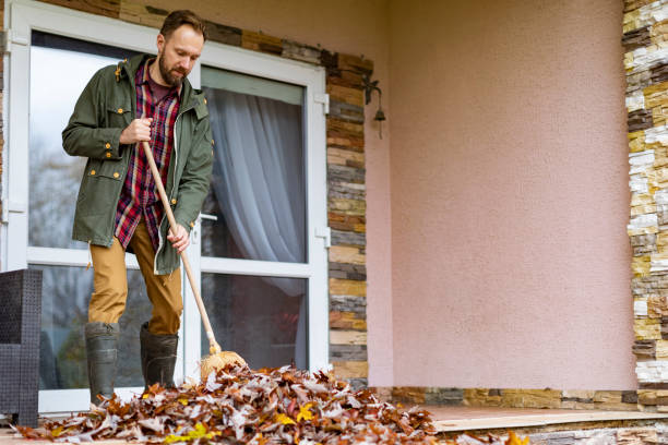 Best Professional Junk Removal  in Kermit, TX